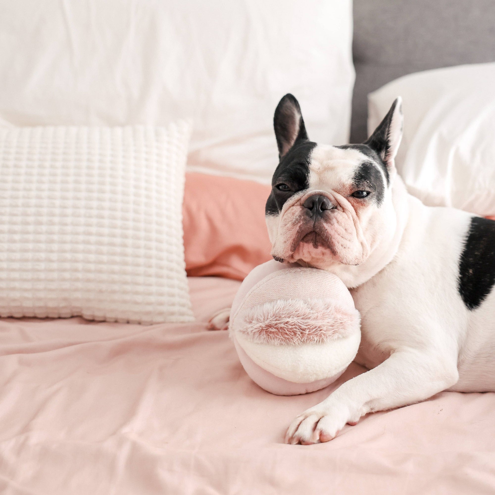 Lambwolf Collective - TOTO // ENRICHMENT DOG TOY // Snuffle Ball : PINK