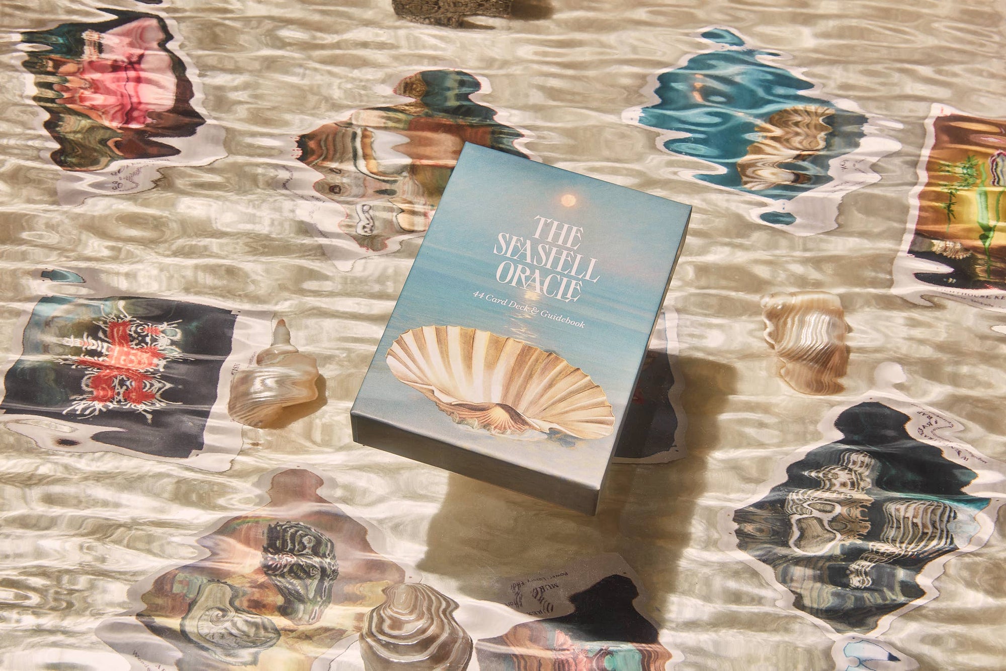 The Seashell Oracle: 44 Card Deck and Guidebook - Space Camp