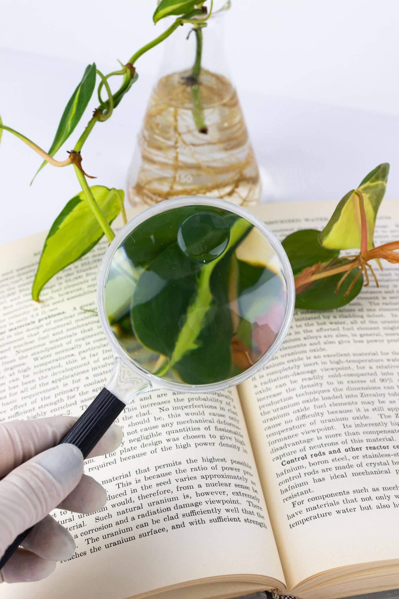 Plastic Magnifying Lens