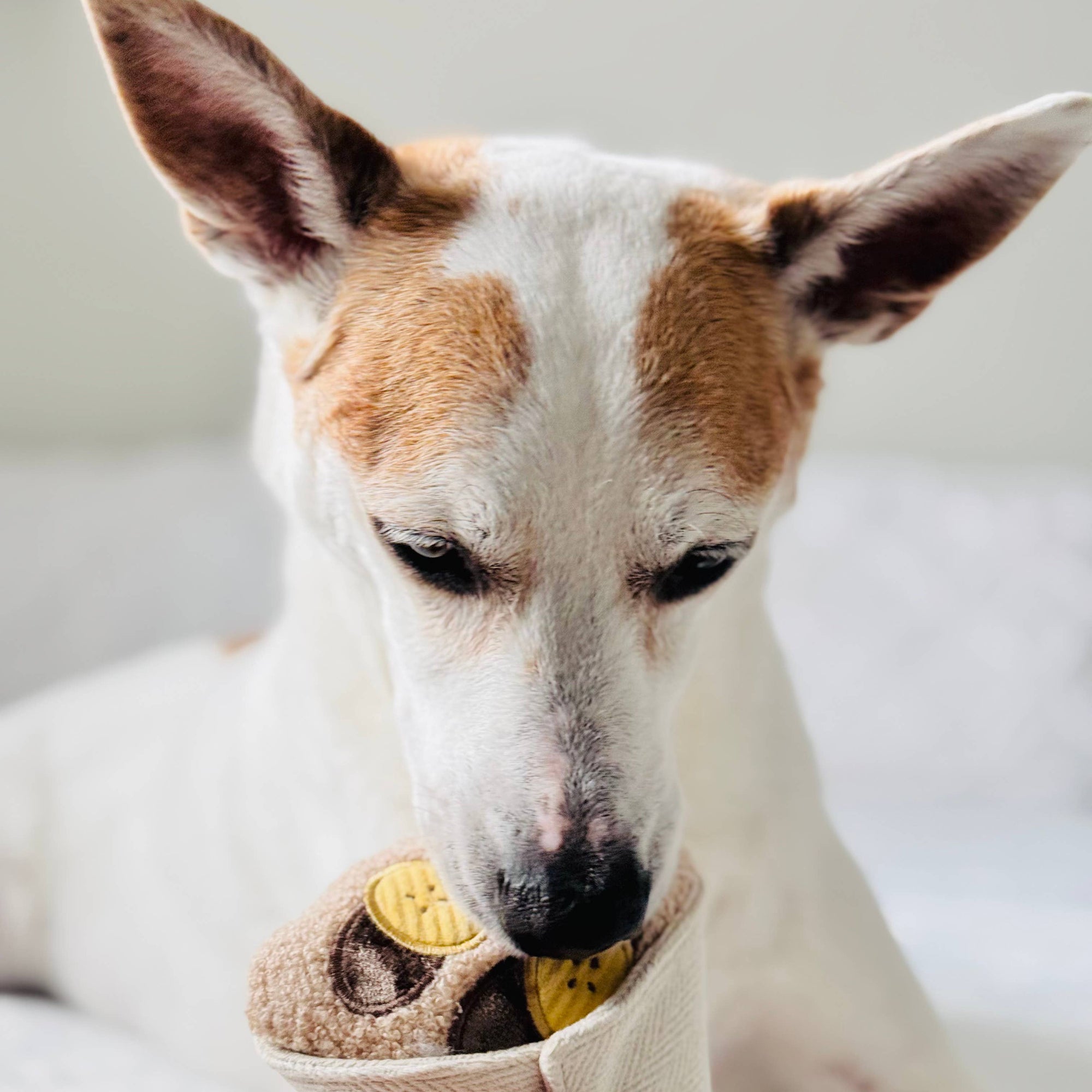 Lambwolf Collective - CREPE // ENRICHMENT DOG TOY // SNUFFLE TOY