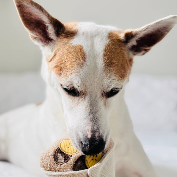Lambwolf Collective - Enrichment Snuffle Dog Toy - Crepe