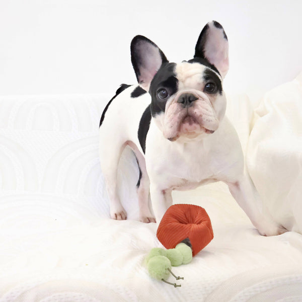 Lambwolf Collective - Snuffle + Burrow Enrichment Dog Toy Set - Apple