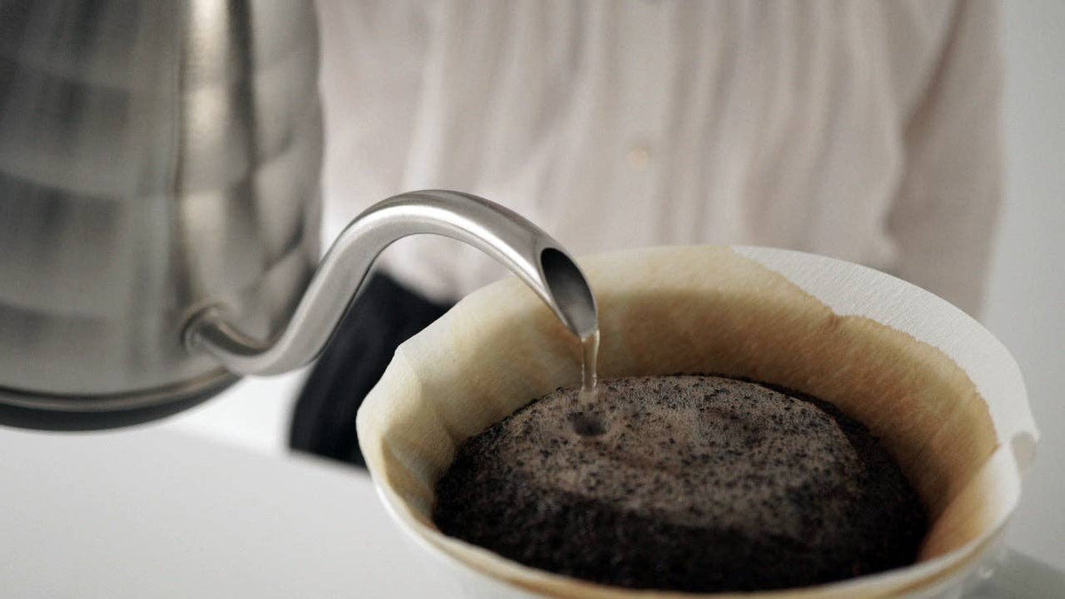 HARIO - V60 "Buono" Electric Drip Kettle - 800mL - Silver