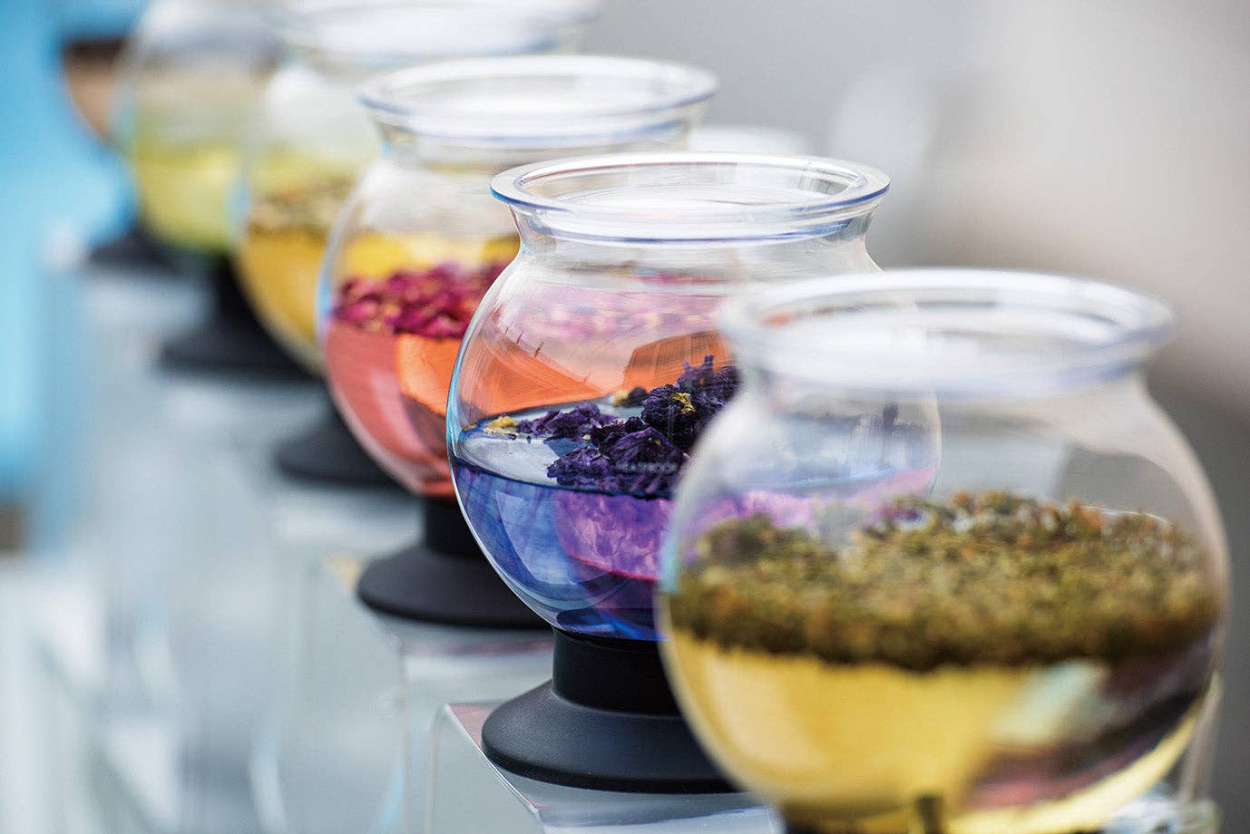 Hario - Largo Tea Dripper Stand Set - 800 mL