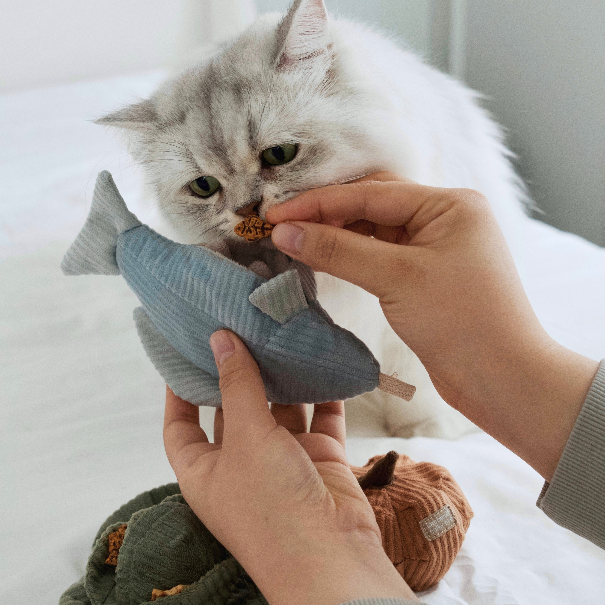 Lambwolf Collective - Kitty Trout - Cat Toy - Catnip - Burrow