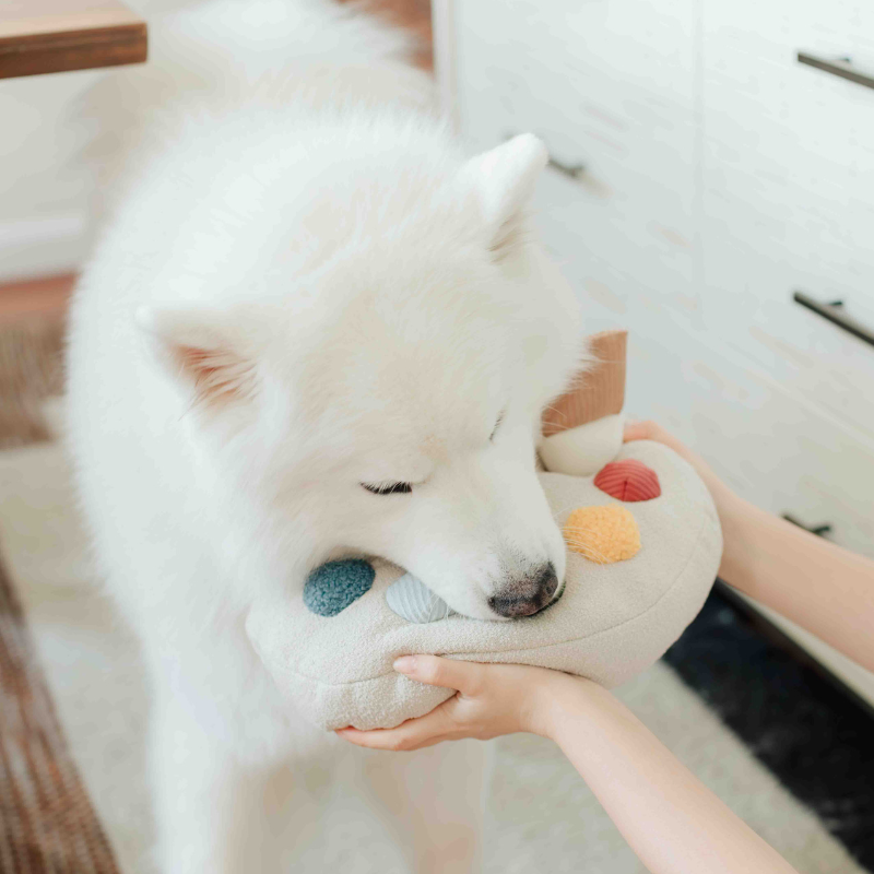 Lambwolf Collective - Color Palette Set - Enrichment Dog Toy - Cuddle + Squeaky