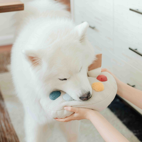 Lambwolf Collective- Cuddle + Squeaky Enrichment Dog Toy - Color Palette Set