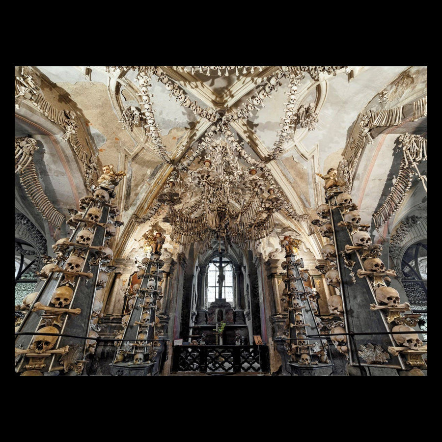 Memento Mori: The Dead Among Us by Paul Koudounaris