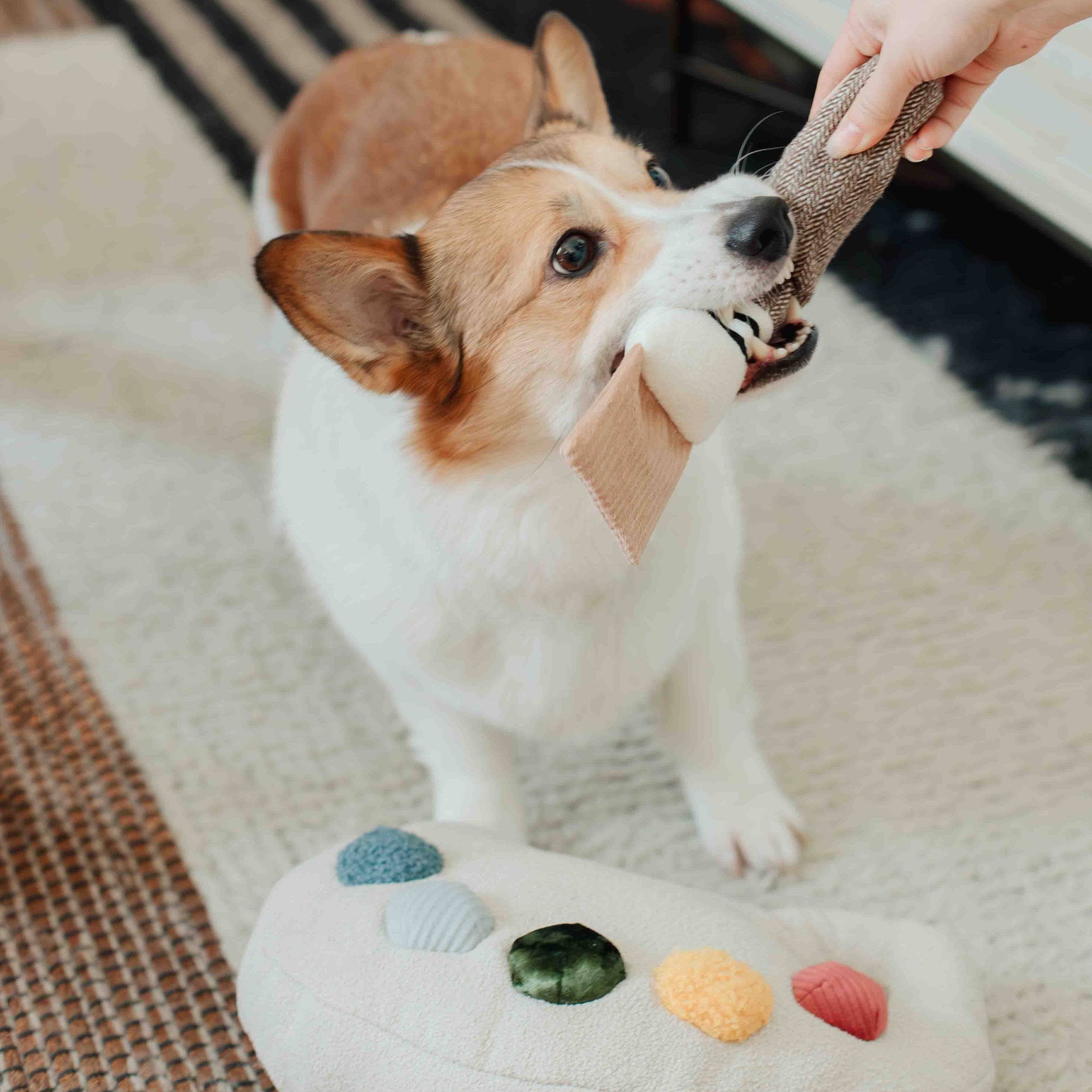 Lambwolf Collective - Color Palette Set - Enrichment Dog Toy - Cuddle + Squeaky