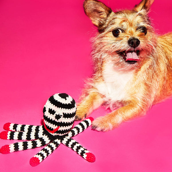 Ware of the Dog - Hand Crochet Dog Toy - Octopus