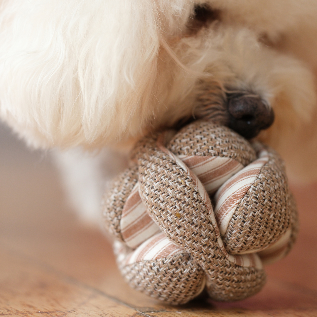 Lambwolf Collective - Mini Monti Enrichment Snuffle Dog Toy - Espresso