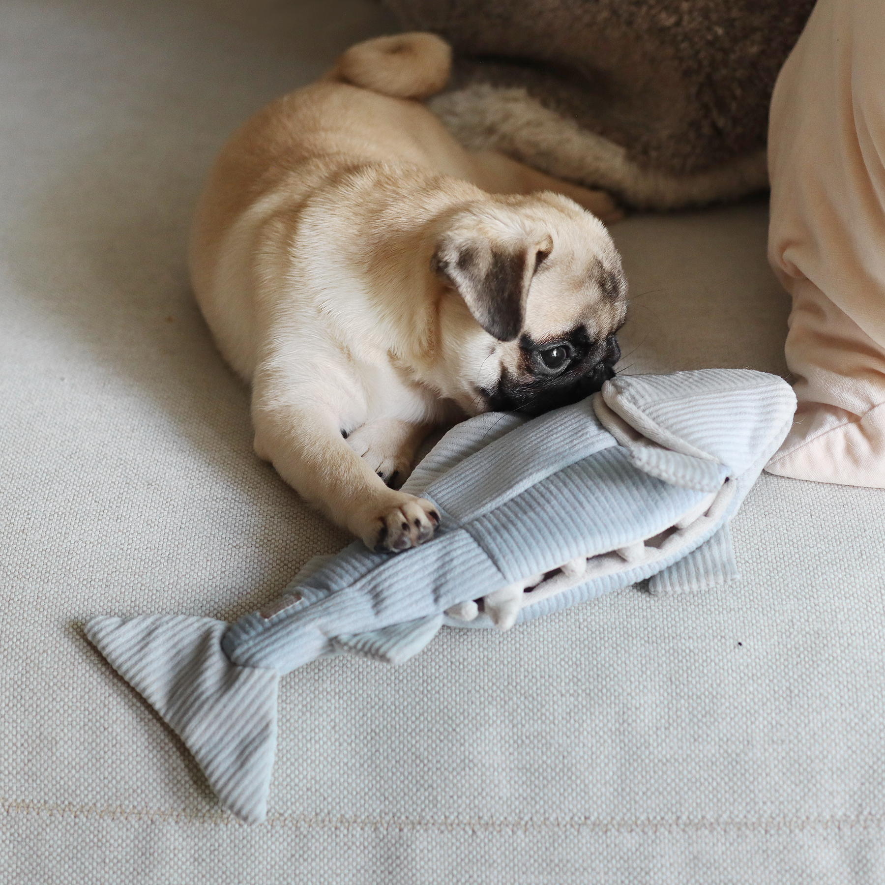 Lambwolf Collective - Enrichment Dog Toy - Trout