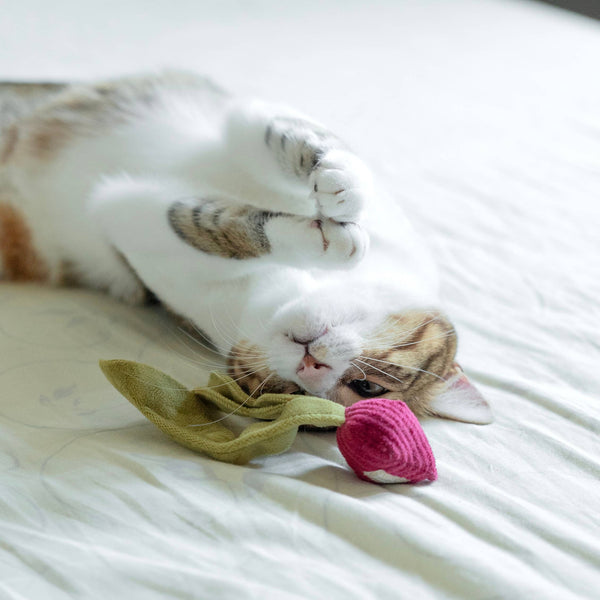 Lambwolf Collective - Cat Toy - Kitty Catnip Radish - Beet