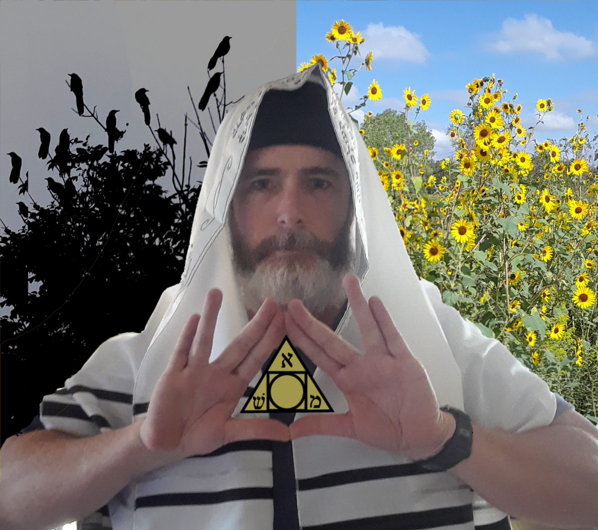 Rota Mundi Tarot: The Rosicrucian Arcanum