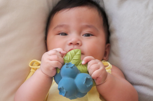 Oli & Carol - Jerry the Blueberry Teether Toy