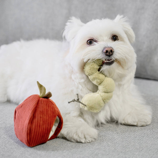 Lambwolf Collective - Snuffle + Burrow Enrichment Dog Toy Set - Apple