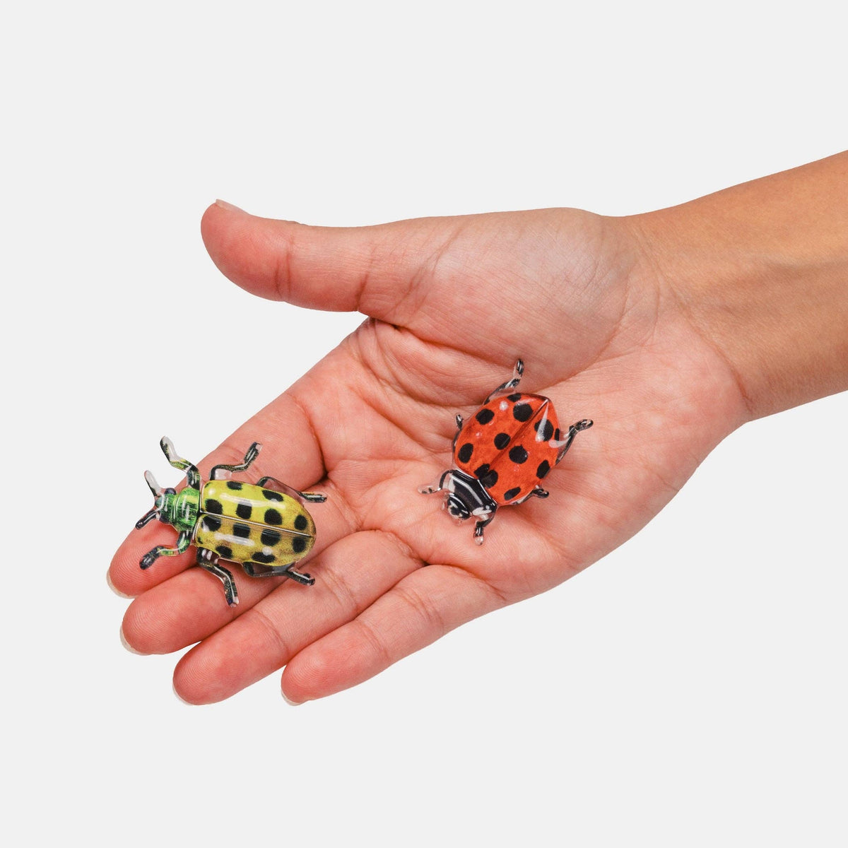 CHUNKS - Allie Clips - Spotted Crawlers