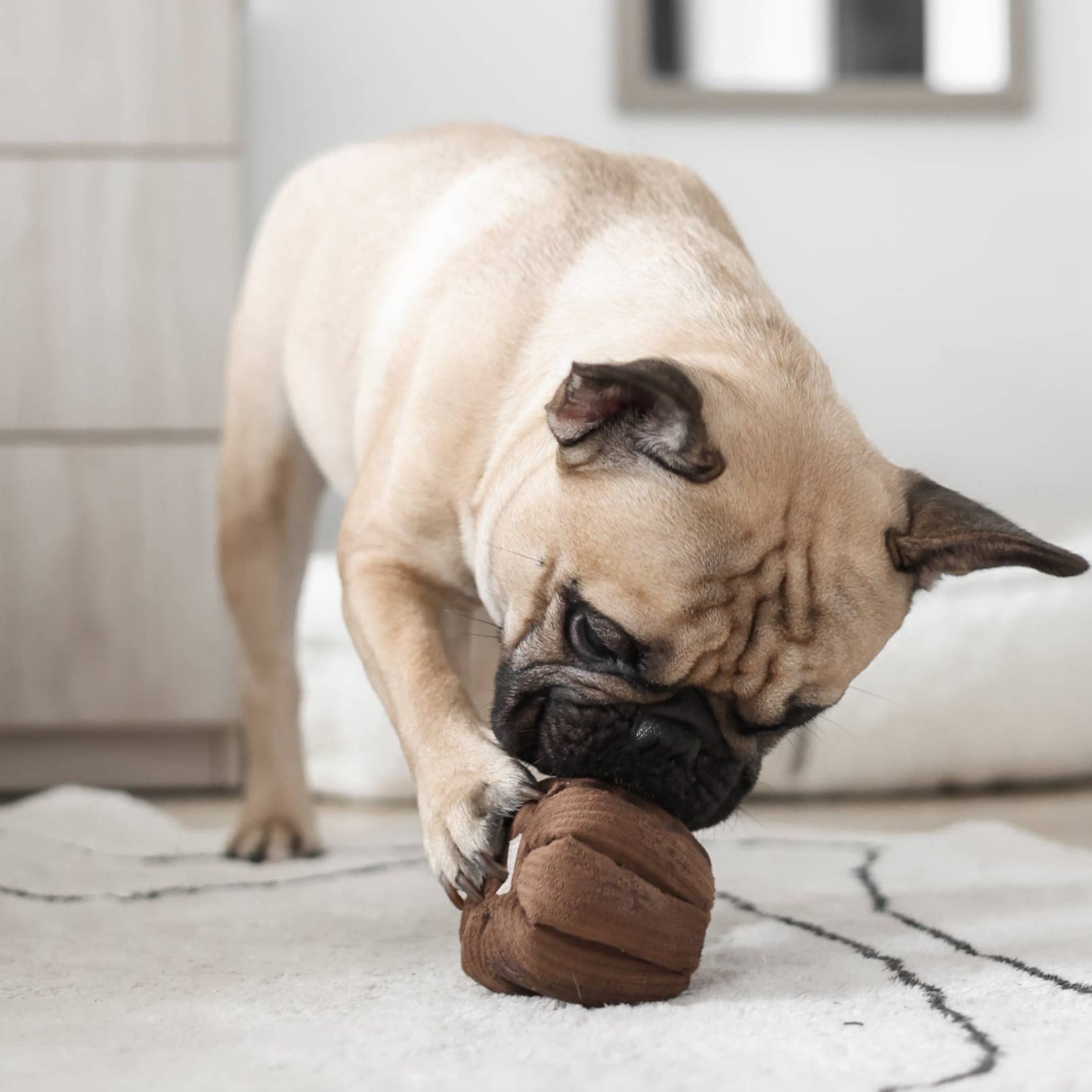Lambwolf Collective - Enrichment Snuffle + Squeaky Dog Toy - Canele