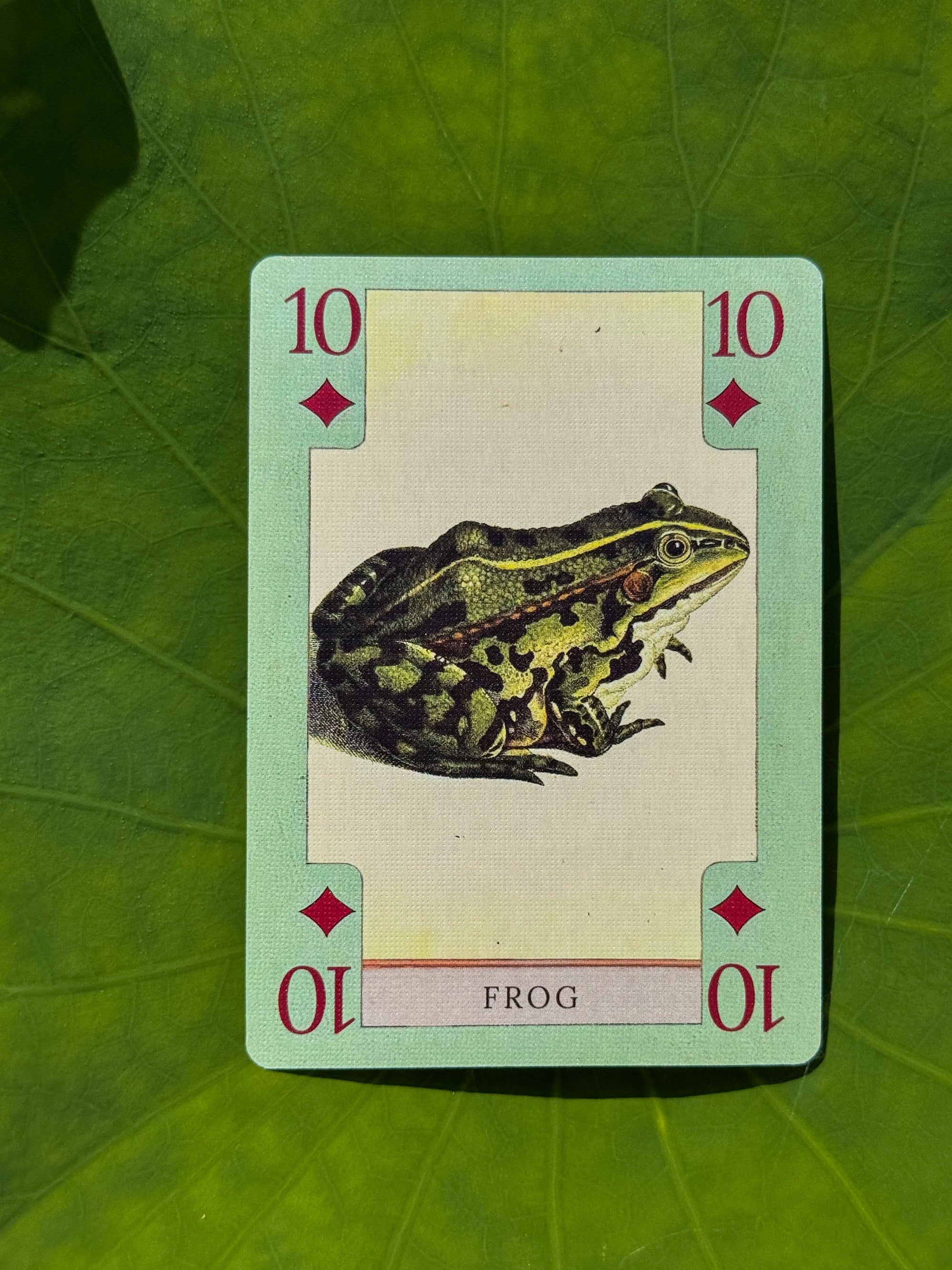 Vintage Art Playing Cards - Fish, Birds, Herps, and Inverts