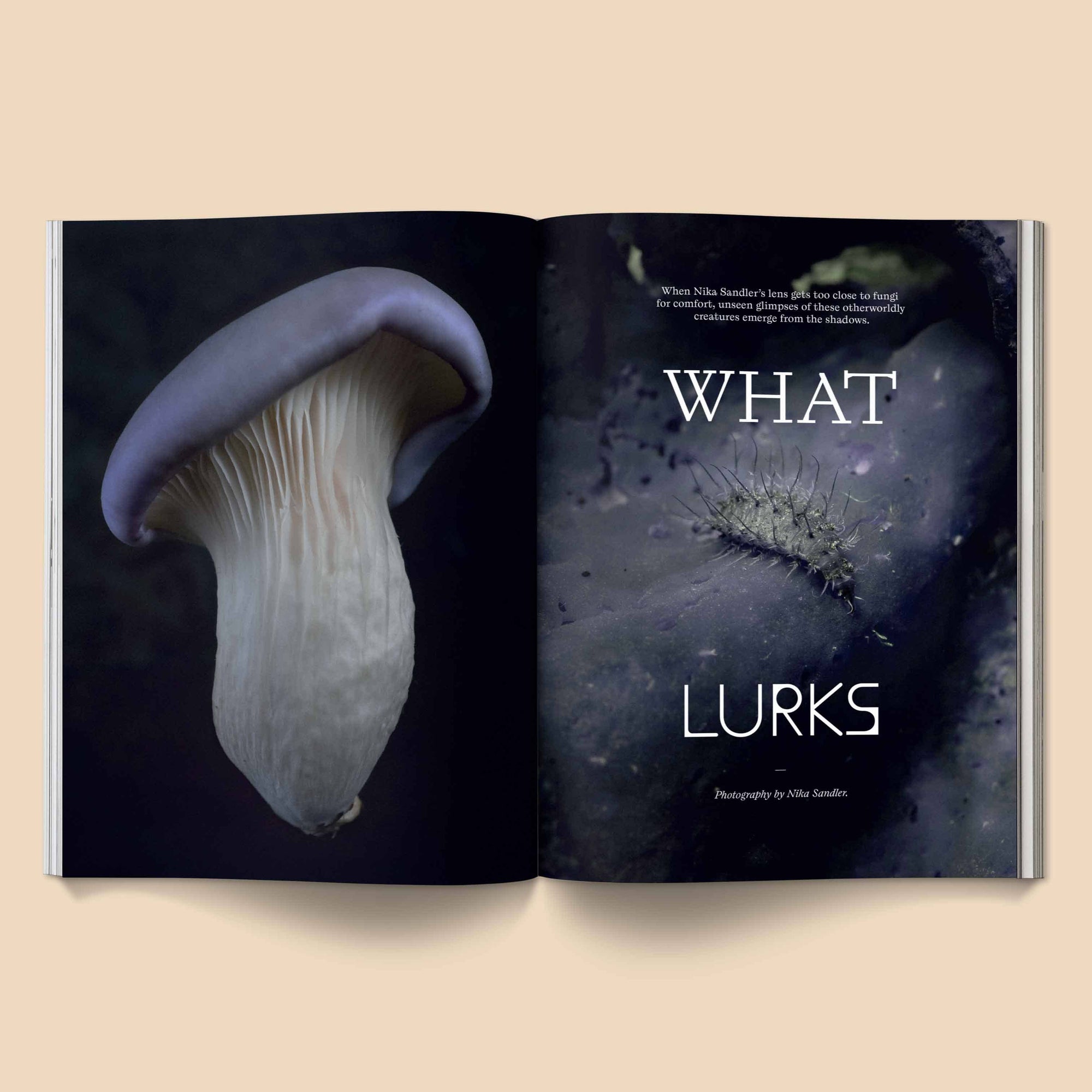 Mushroom People Magazine - Volume 2