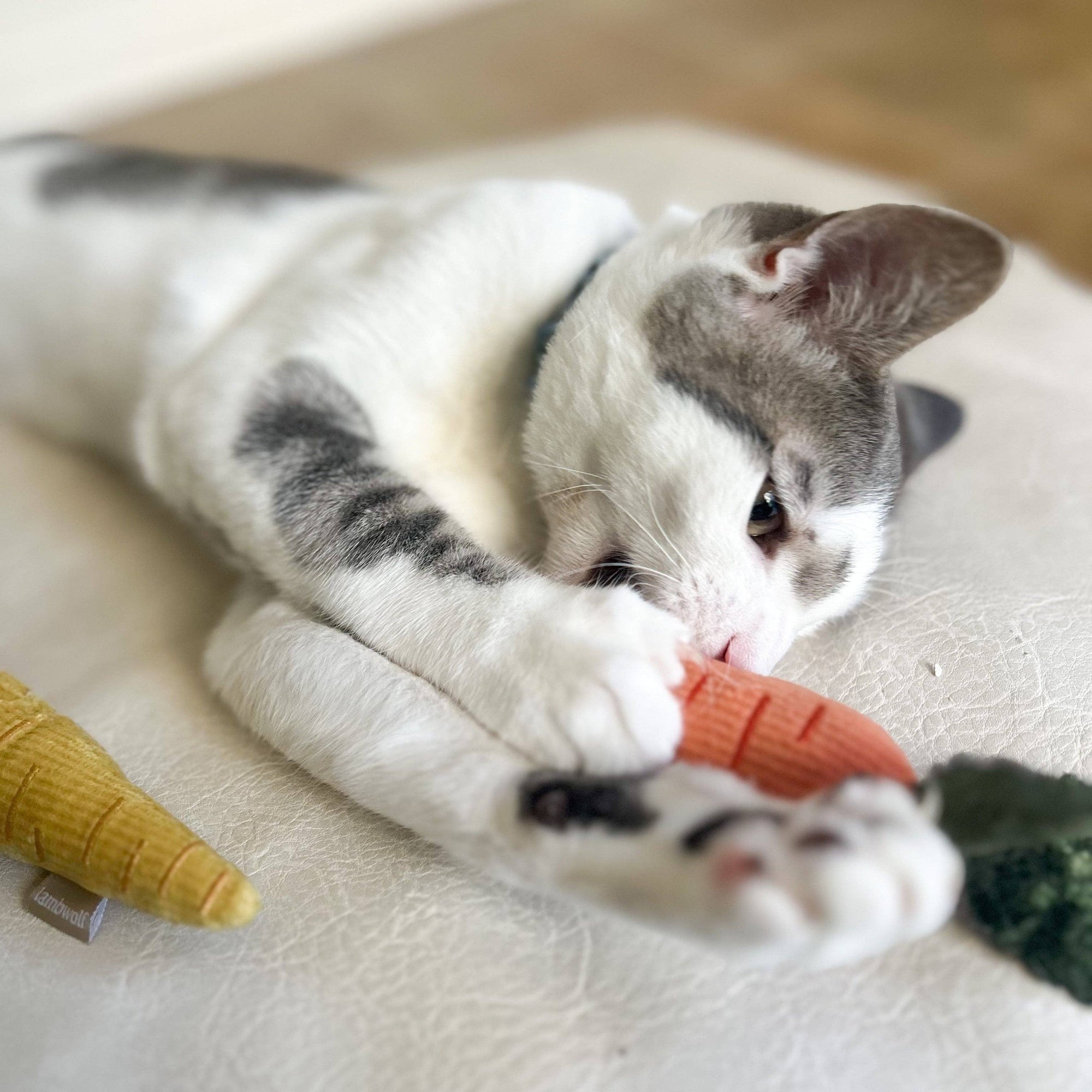 Lambwolf Collective - Catnip Cat Toy - Kitty Baby Carrots