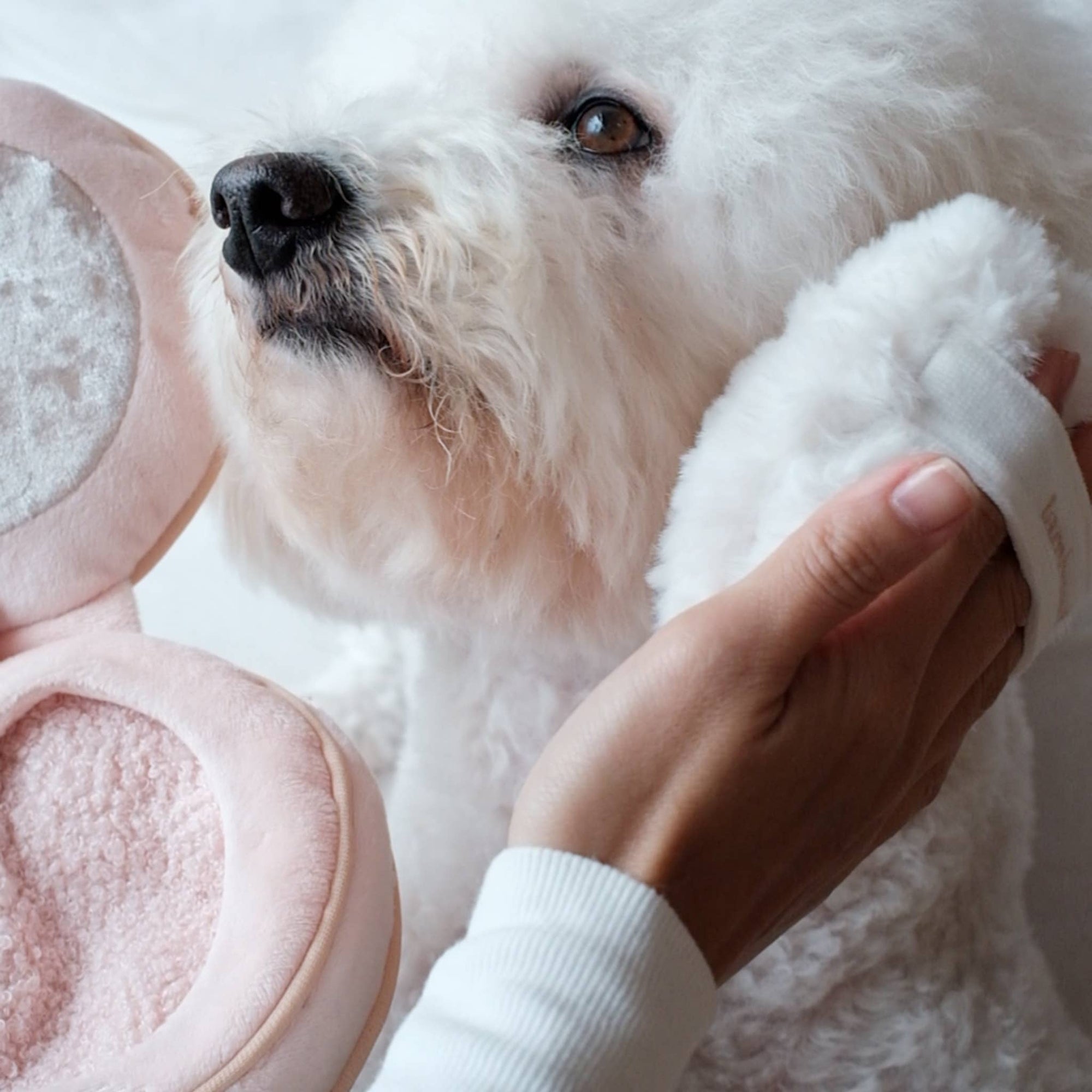Lambwolf Collective - BLUSH // ENRICHMENT DOG TOY // SNUFFLE