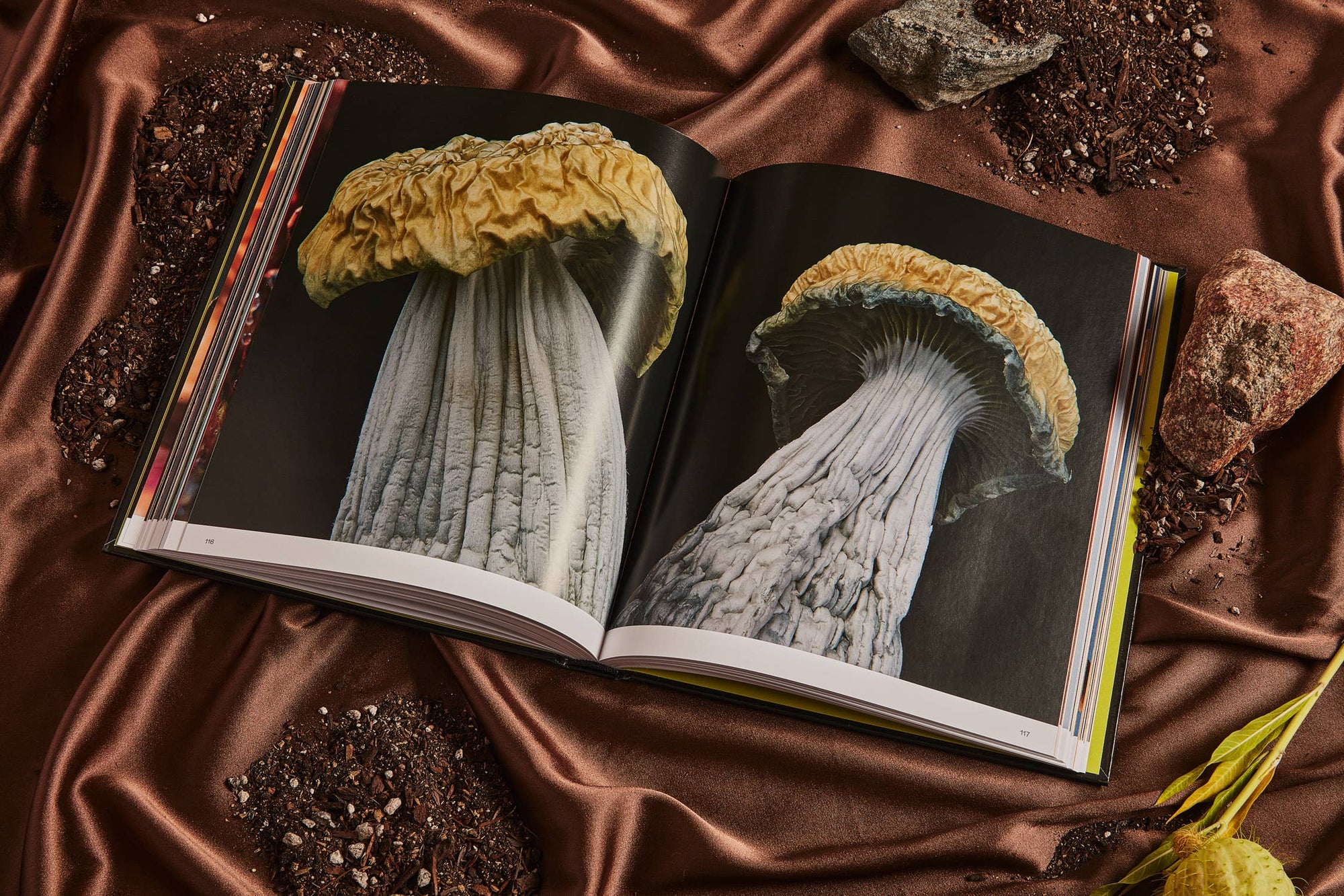 Spores: Magical Mushroom Photography Book - Space Camp