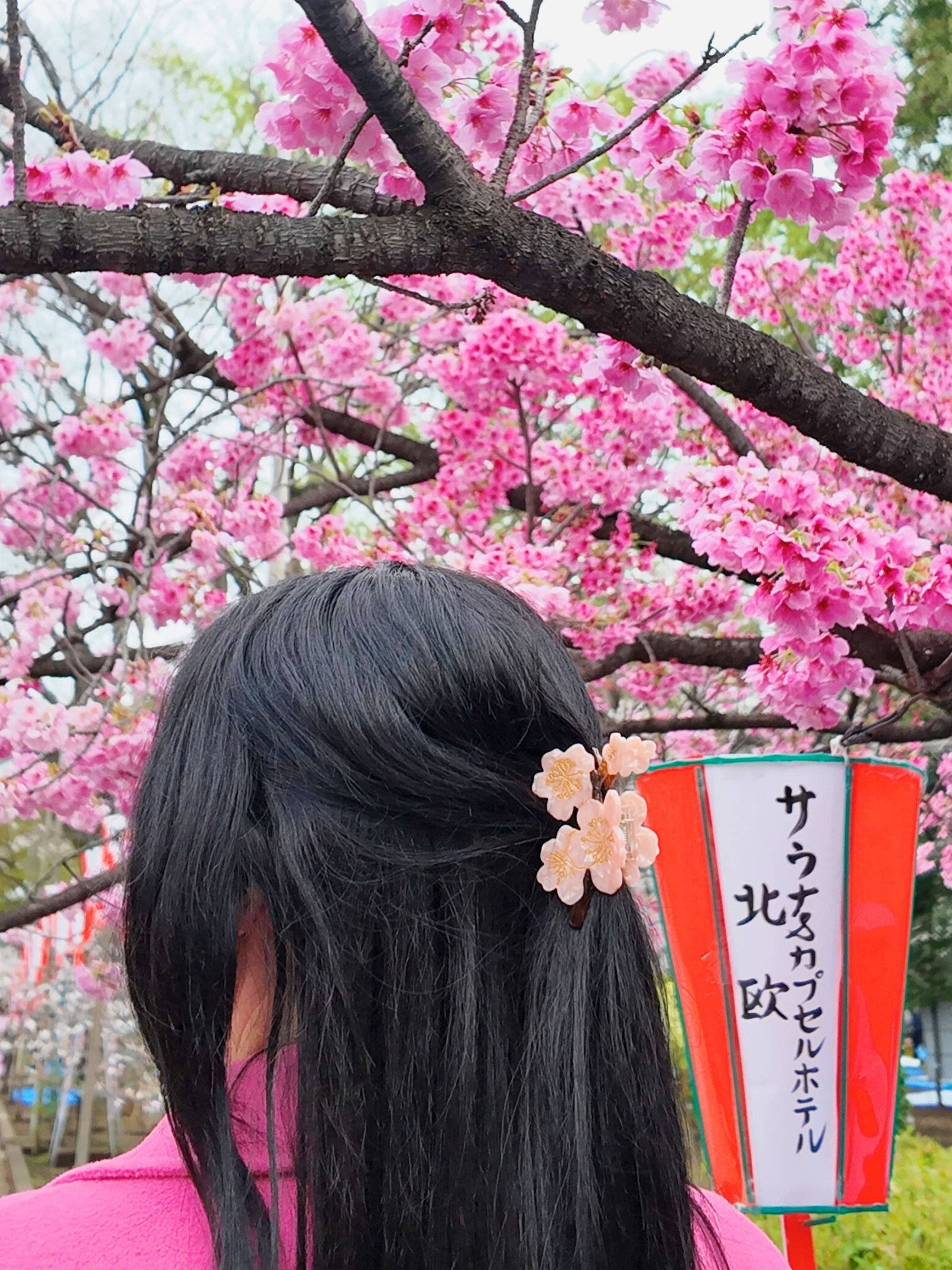 Solar Eclipse - Hand-Painted Cherry Blossom Flower Claw Hair Clip - Pink Cherry Blossom