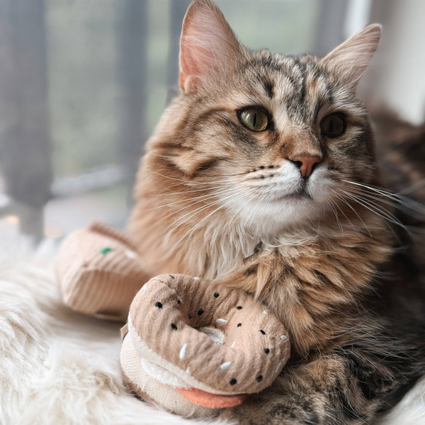 Lambwolf Collective - Cat Toy Set - Kitty Pizza & Bagel