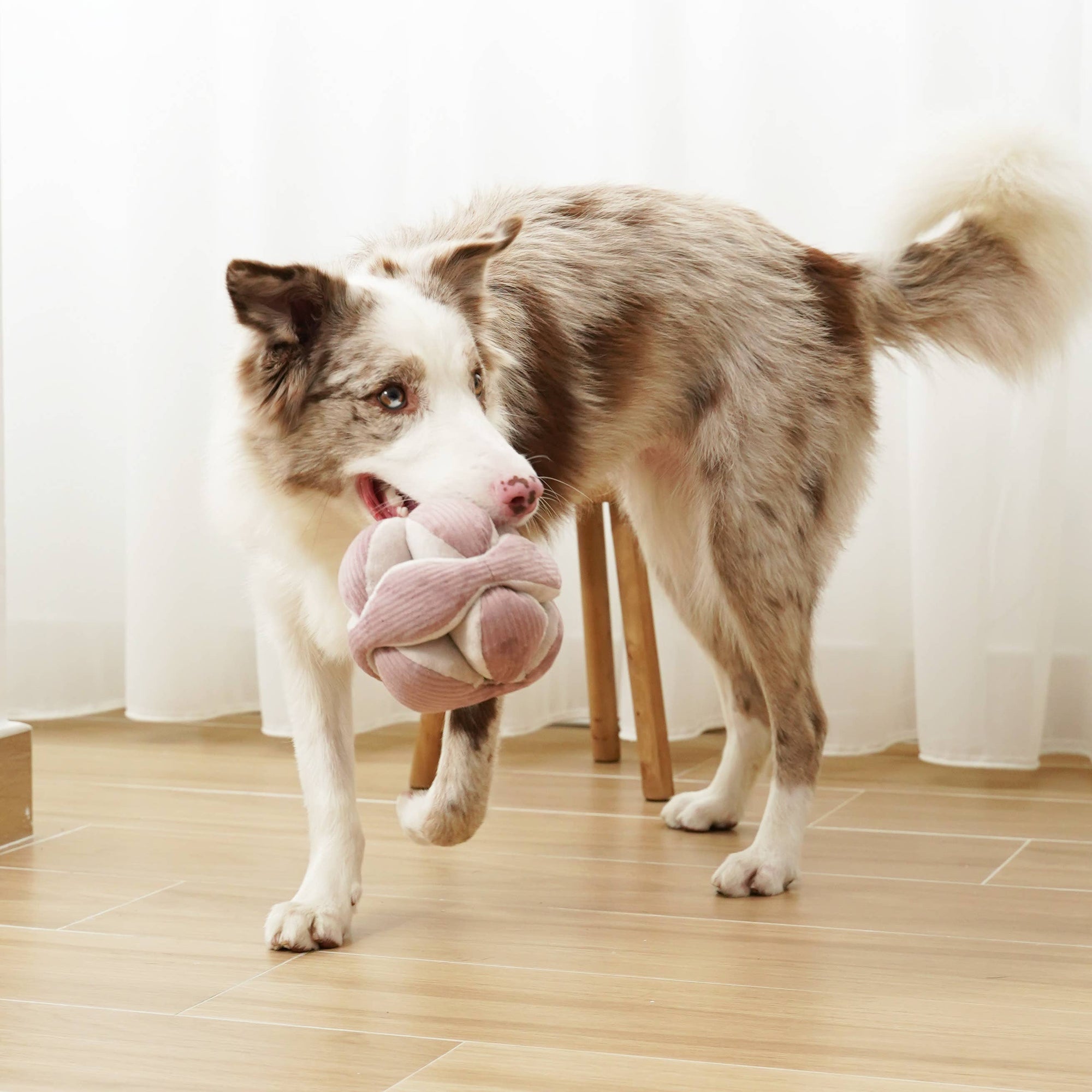 Lambwolf Collective - Monti (Silent) Enrichment Dog Toy - Purple