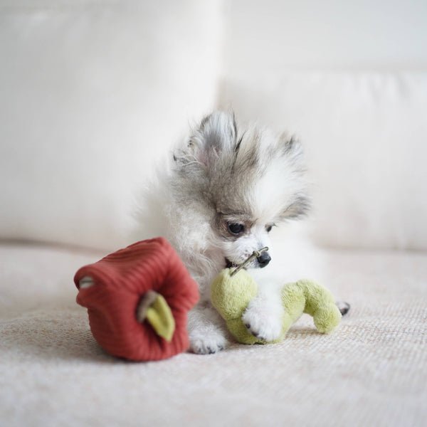 Lambwolf Collective - Snuffle + Burrow Enrichment Dog Toy Set - Apple
