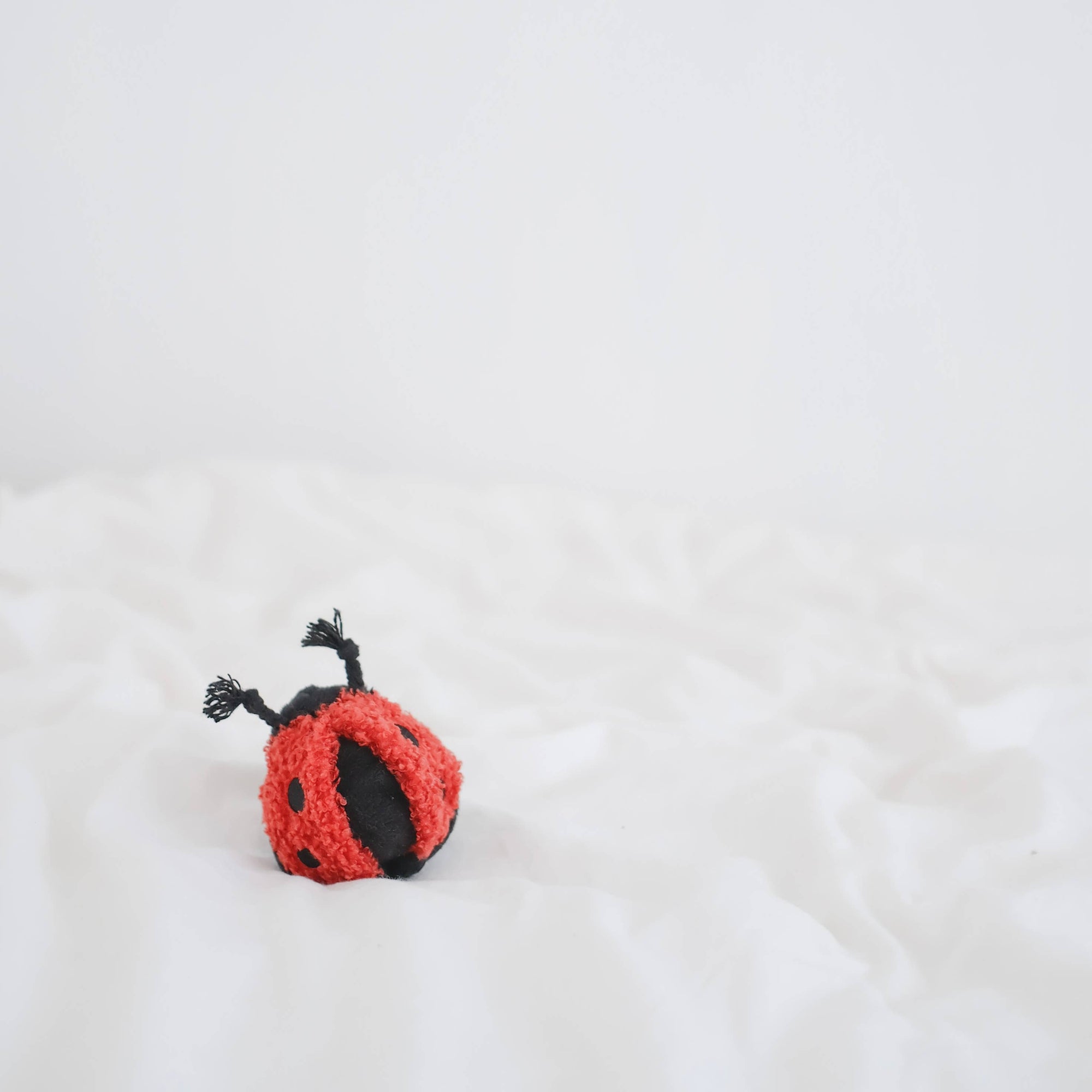 Lambwolf Collective - Mini Enrichment Squeaky Ball Dog Toy - Ladybug Pop