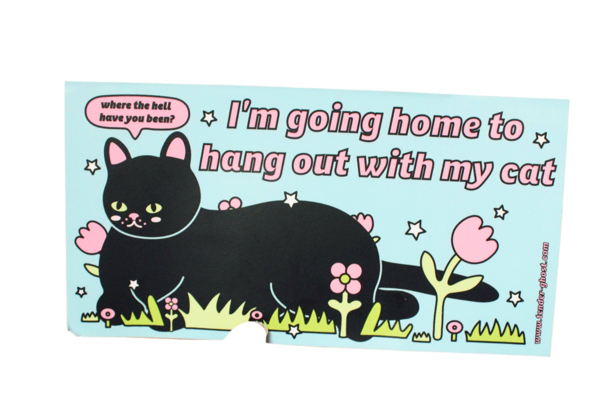 Hang Out With My Cat Bumper Sticker - Space Camp