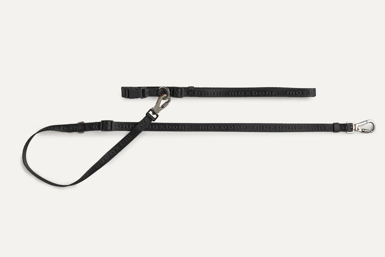 maxbone - Mini GO! With Ease Hands-Free Leash - Dusk Blue