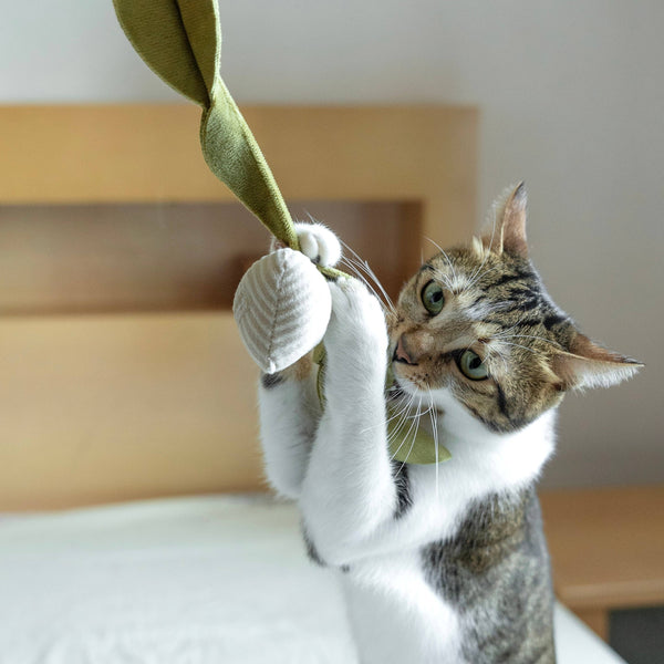 Lambwolf Collective - Cat Toy - Small Radish - Cream