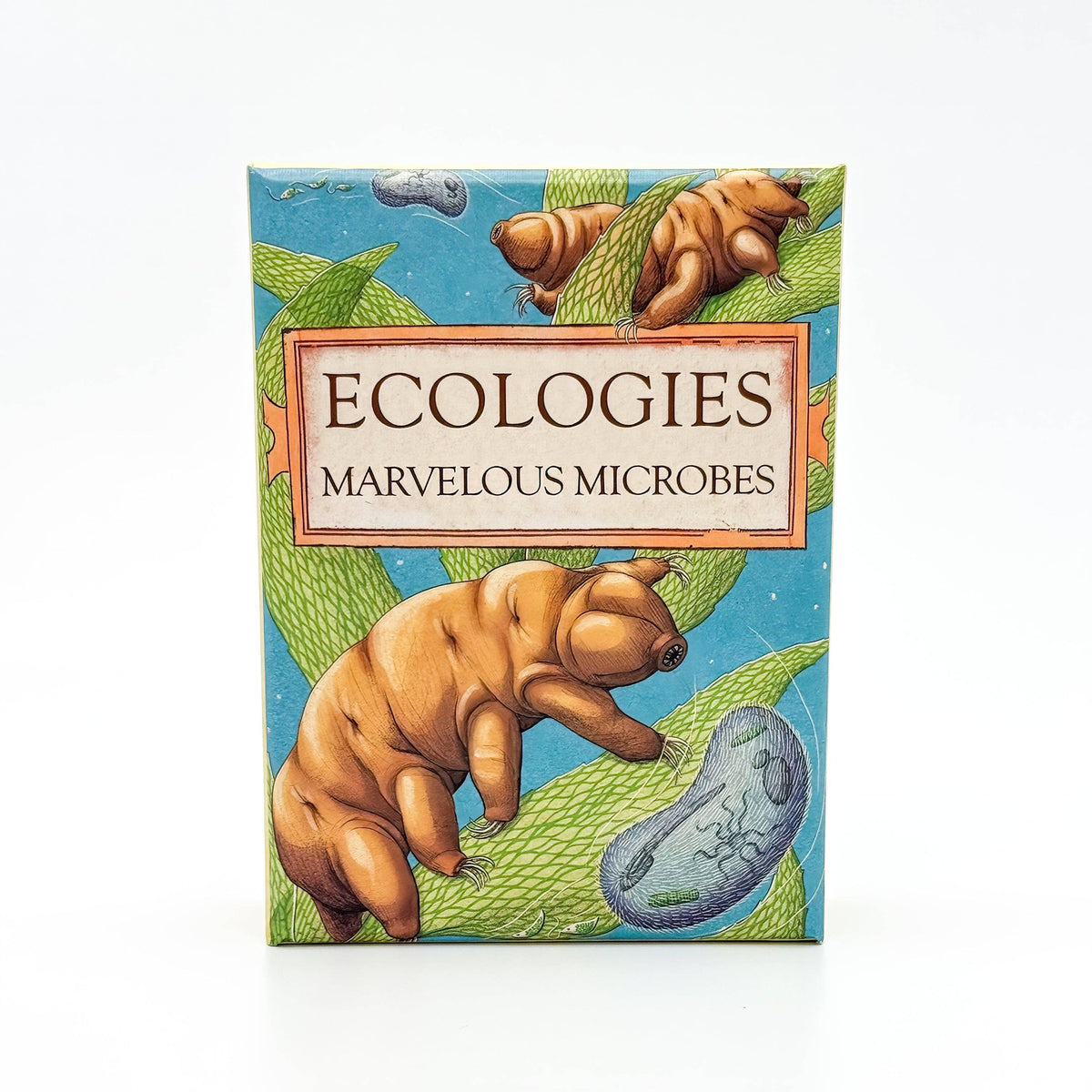 Ecologies: Marvelous Microbes