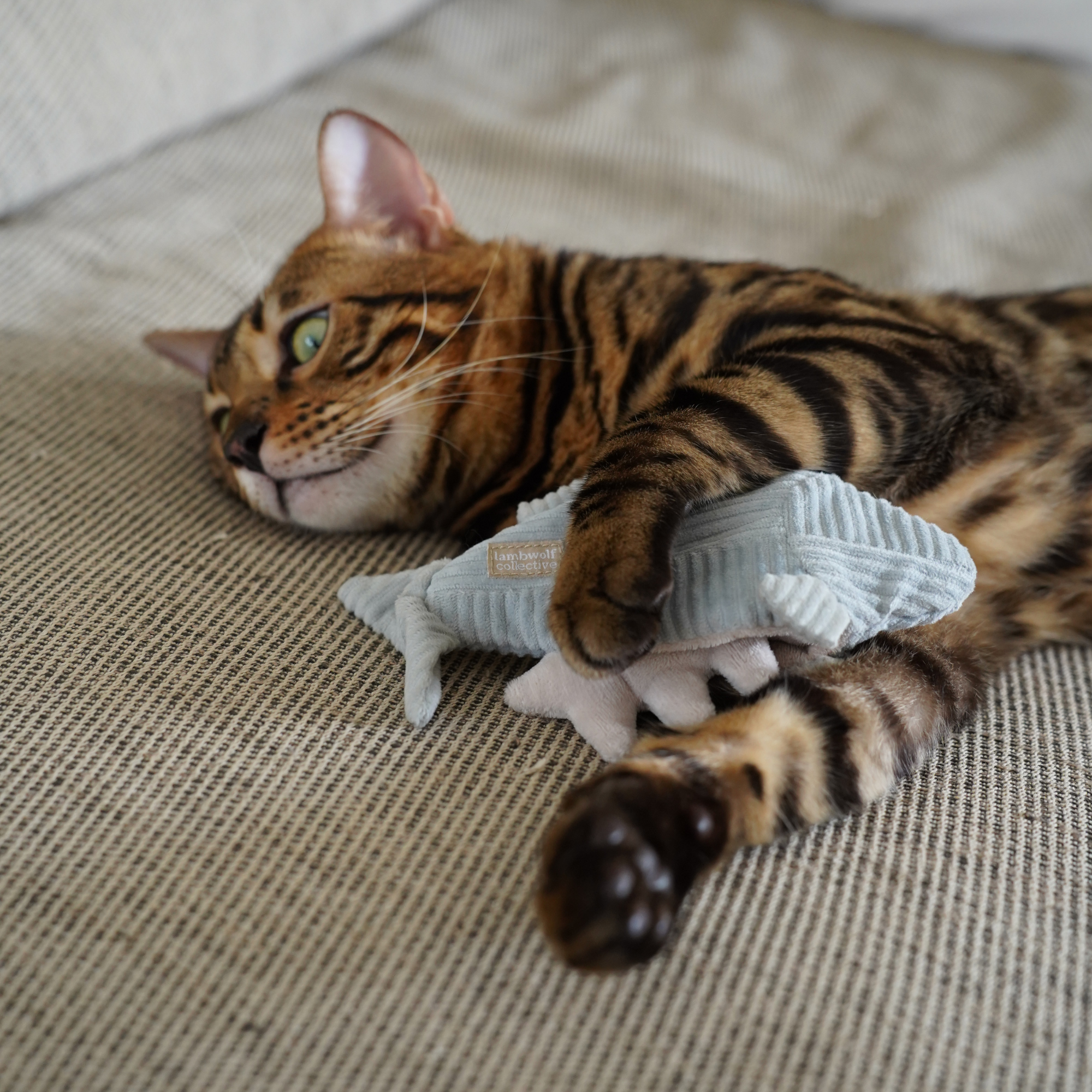 Lambwolf Collective - Kitty Trout - Cat Toy - Catnip - Burrow