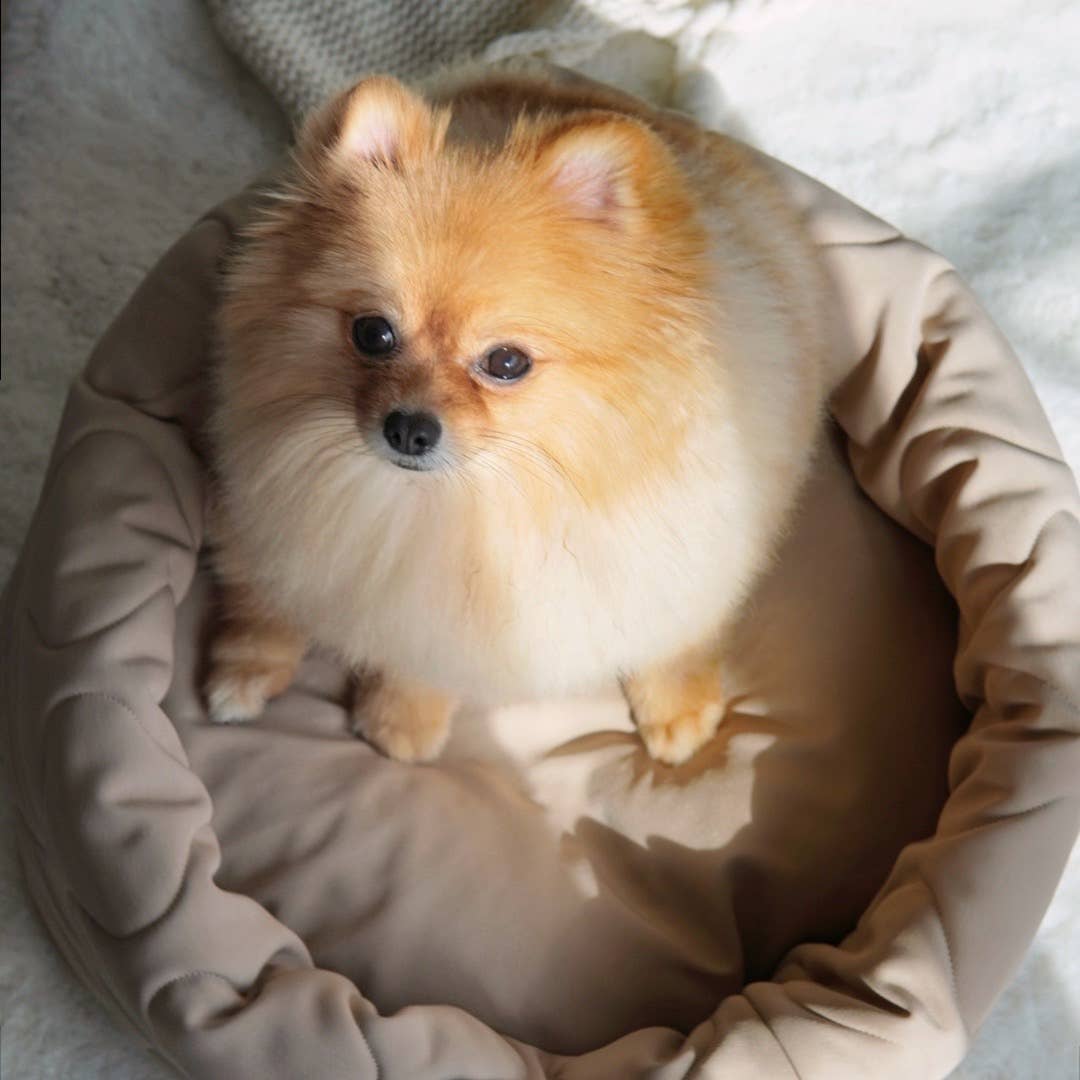 Lambwolf Collective - TAART Reversible Petite Pet Bed - Camel