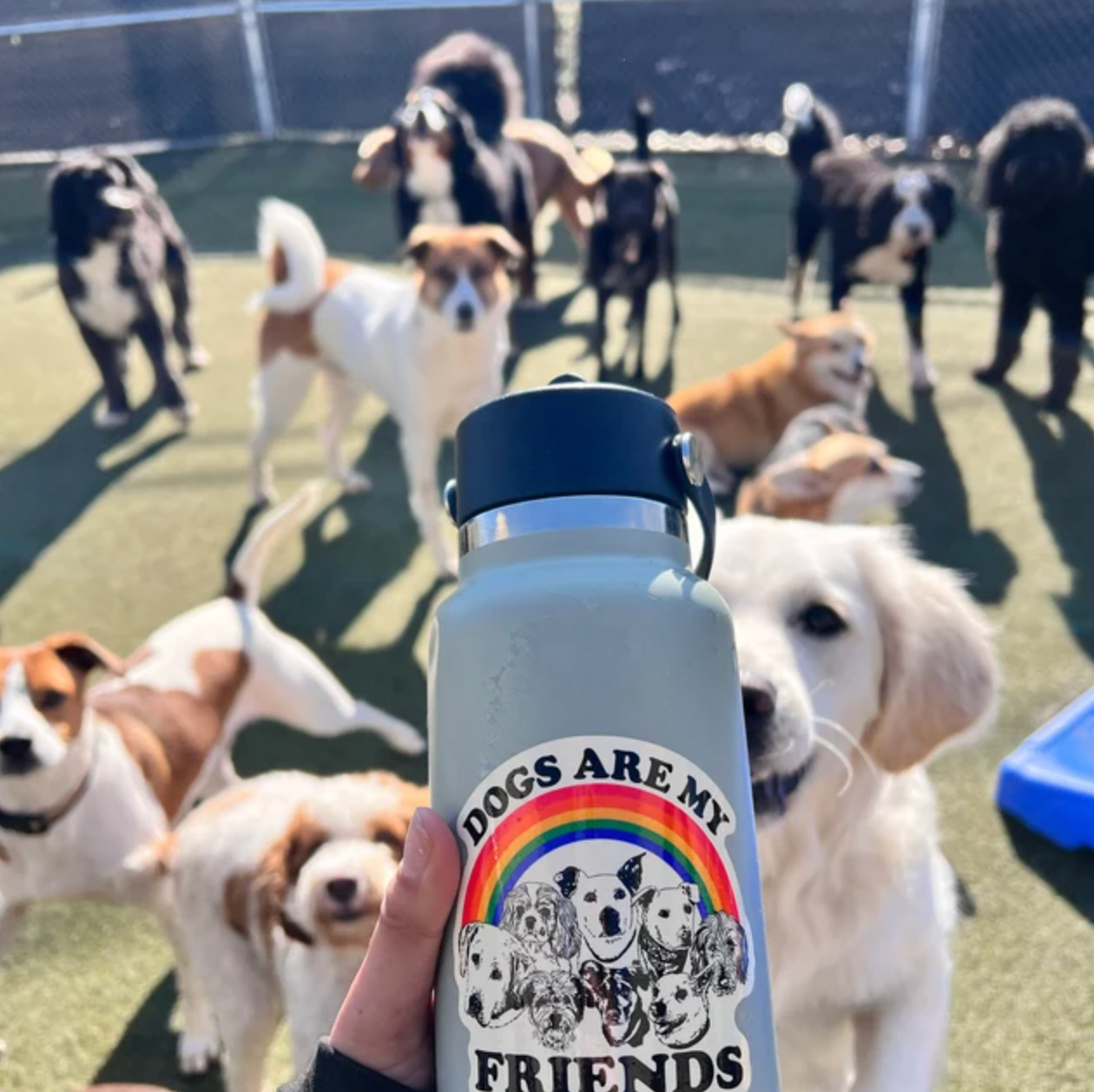 Dogs Are My Friends - Sticker