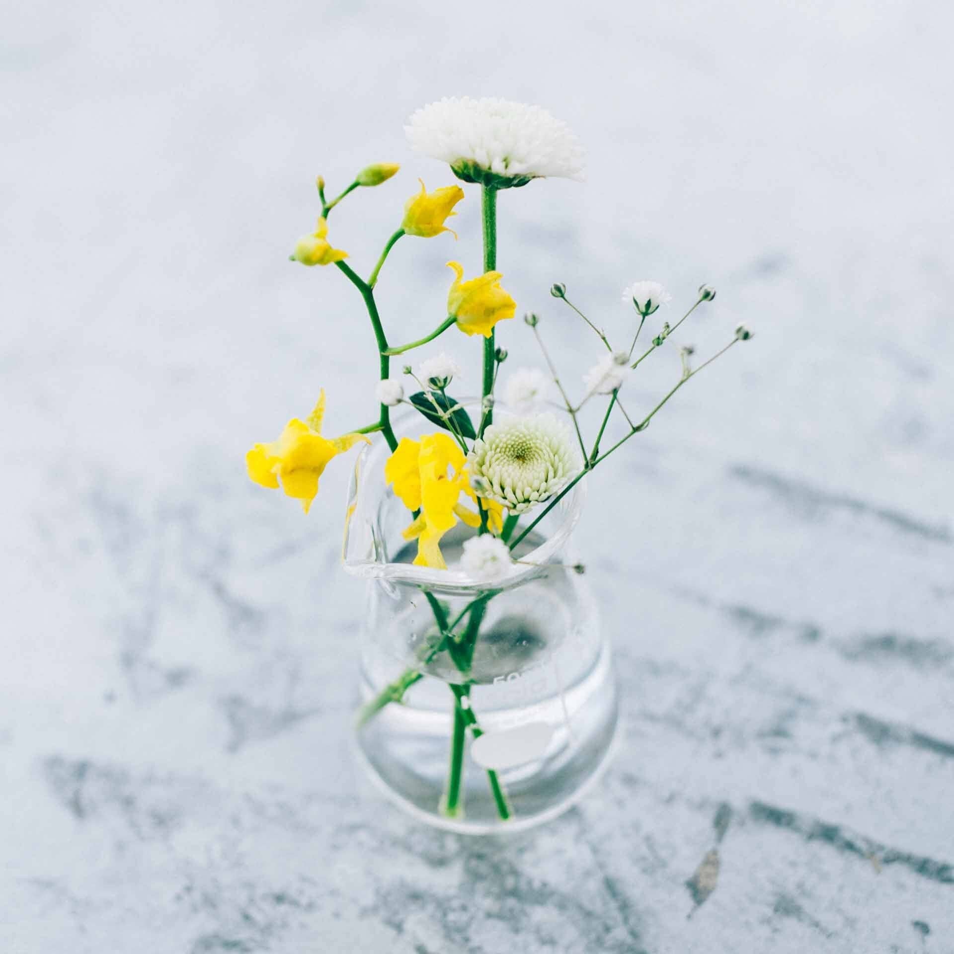 Hario - Conical Beaker Vase