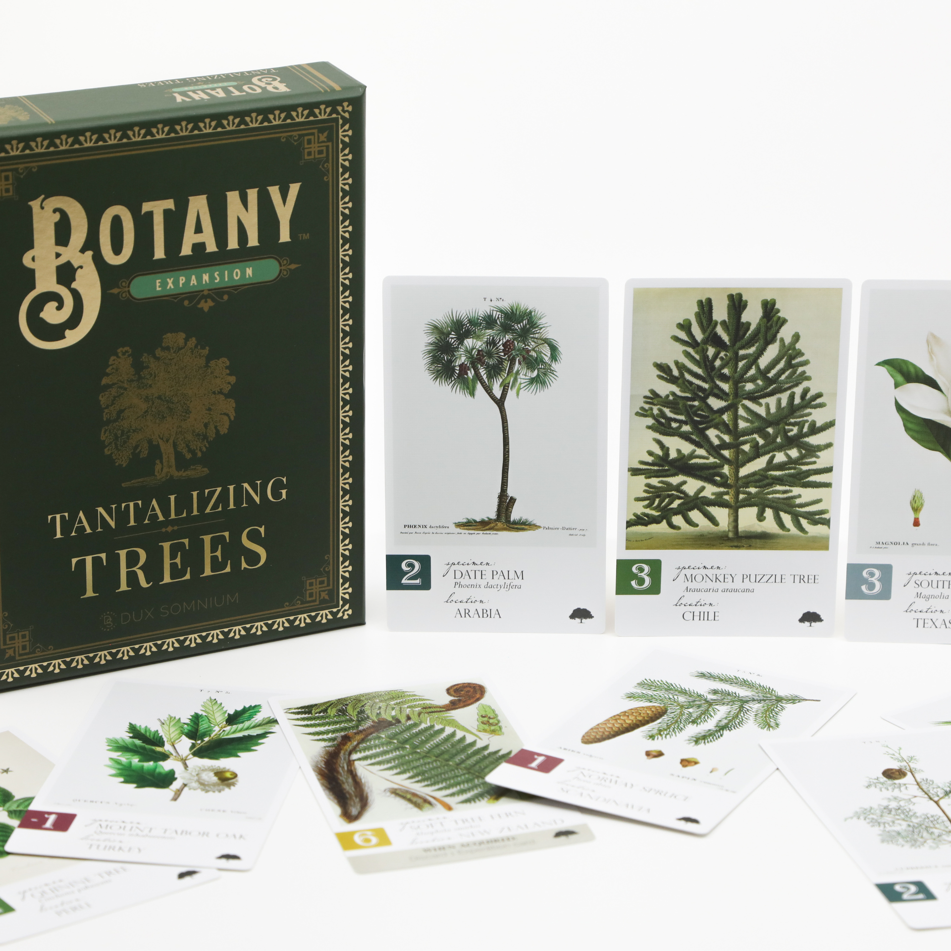 Tantalizing Trees: An Expansion for Botany - Board Game