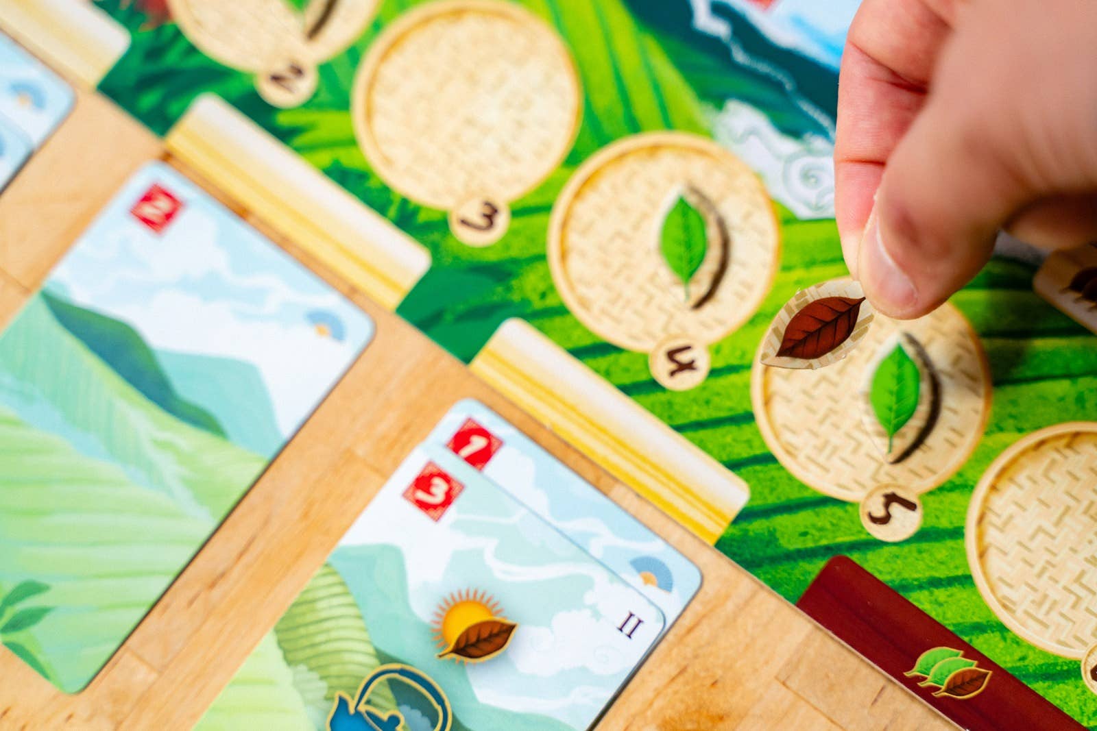 Capstone Games - Tea Garden: Base Game / 2, 3, 4 / 90 minutes