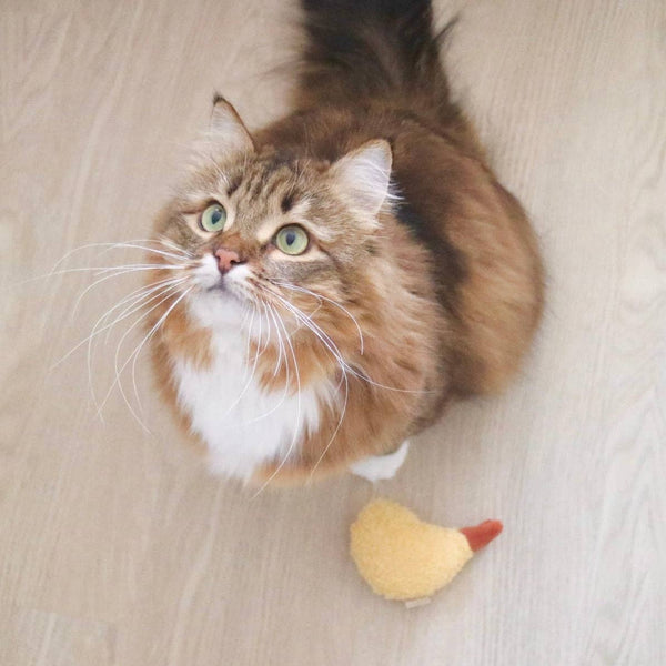 Lambwolf Collective - Cat Toy - Kitty Tempura