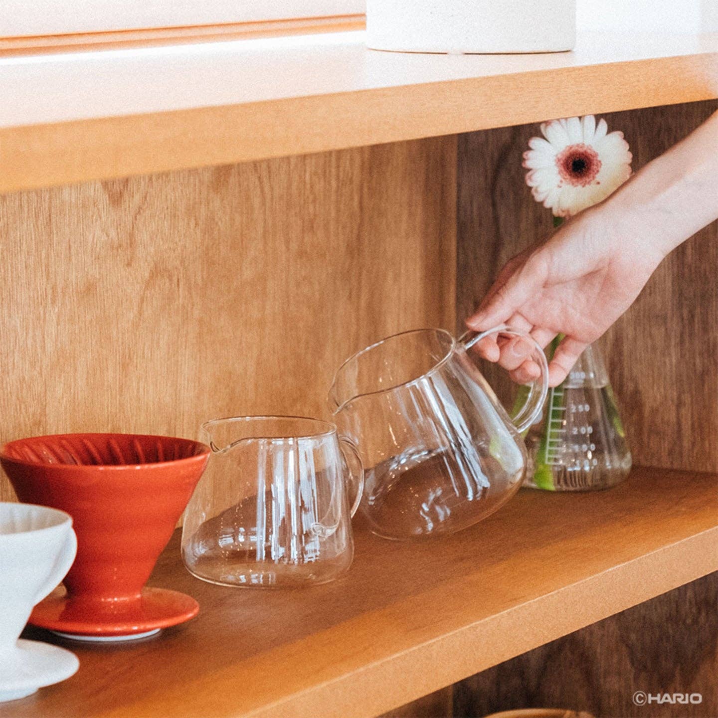 Hario - V60 Barista Server