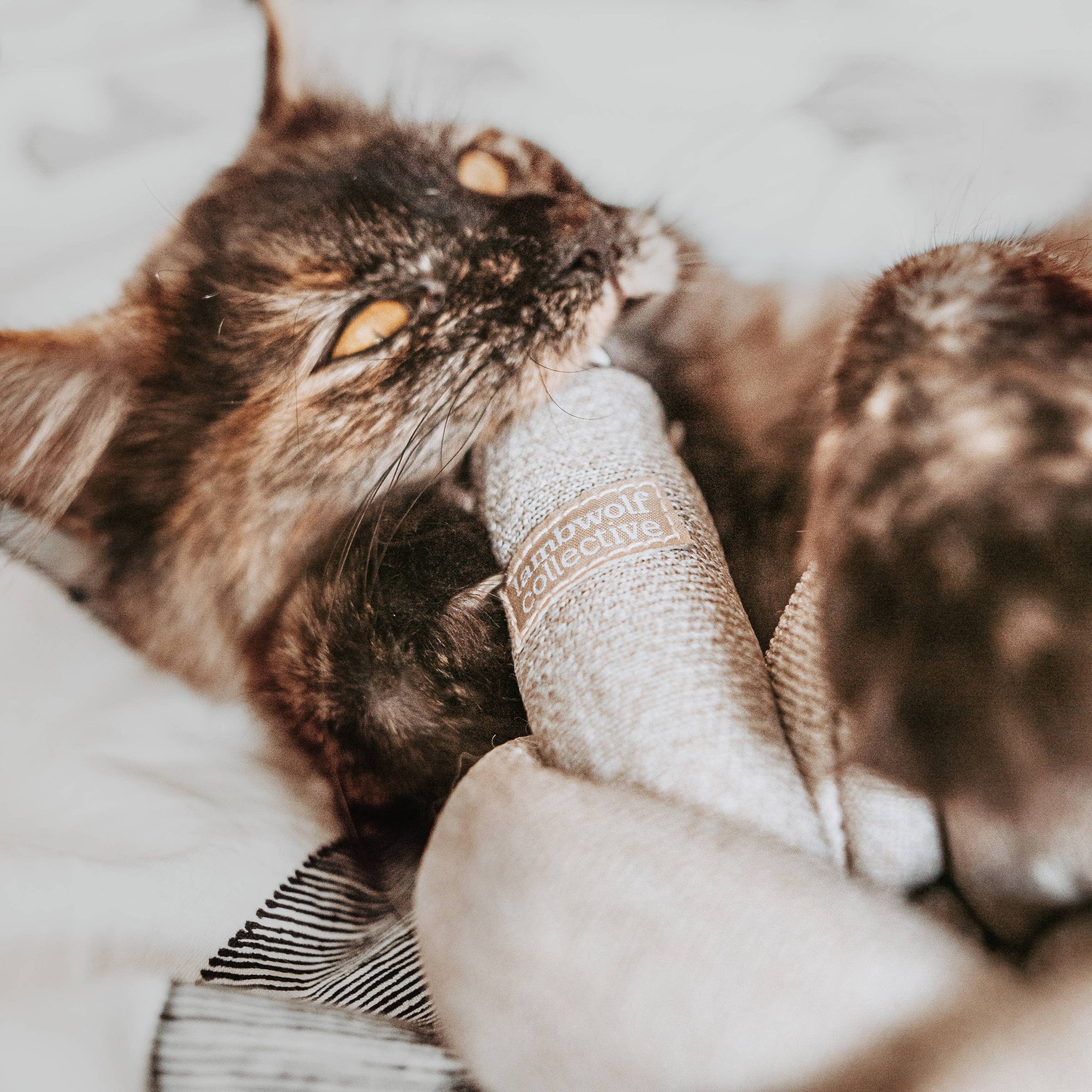 Lambwolf Collective - Nounou | gray with bell balls//ENRICHMENT DOG TOY