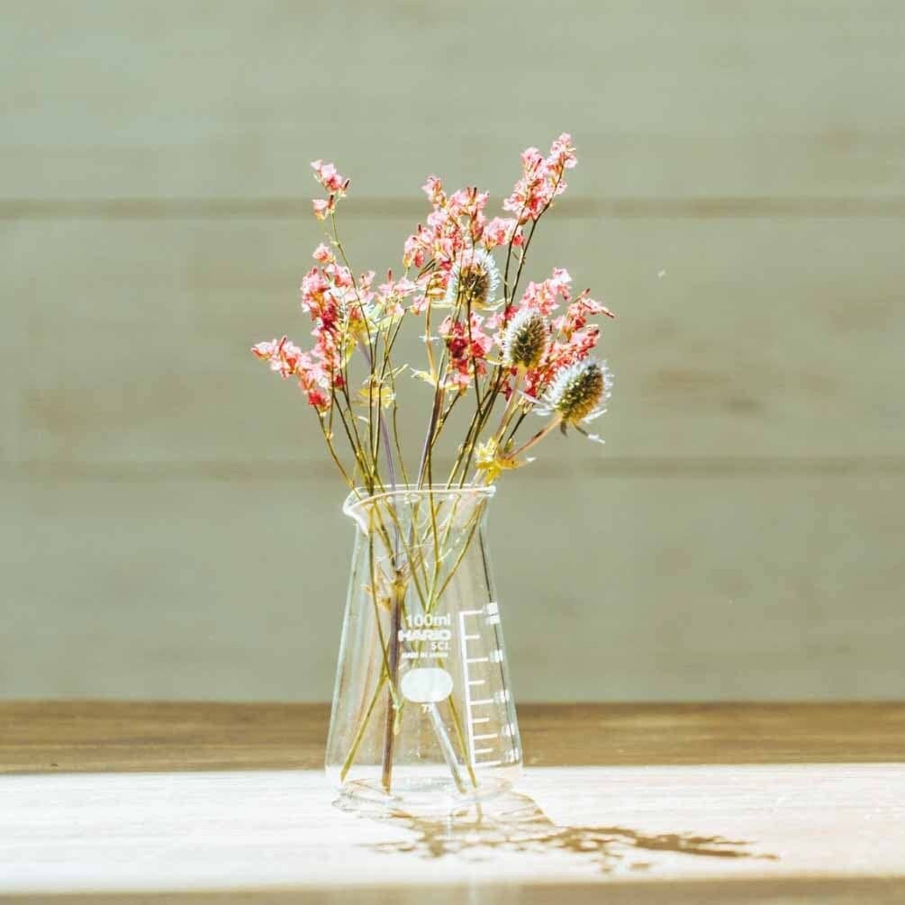 Hario - Conical Beaker Vase