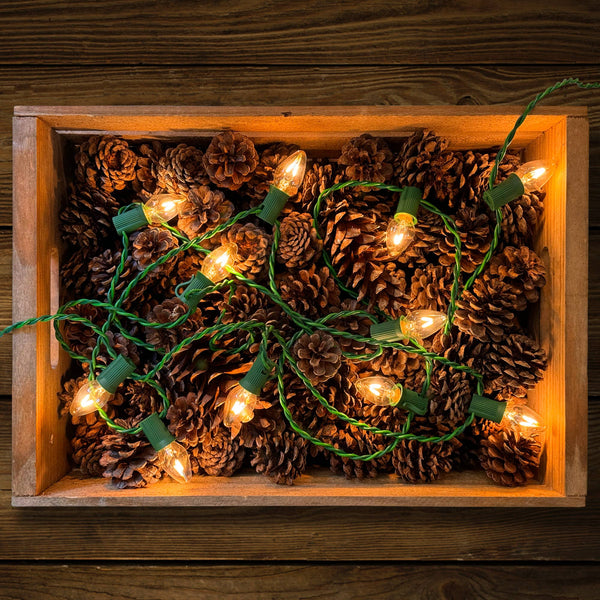 Tru-Tone - Vintage Style LED Christmas Lights - C7 25-Light Set: Candleglow (clear)