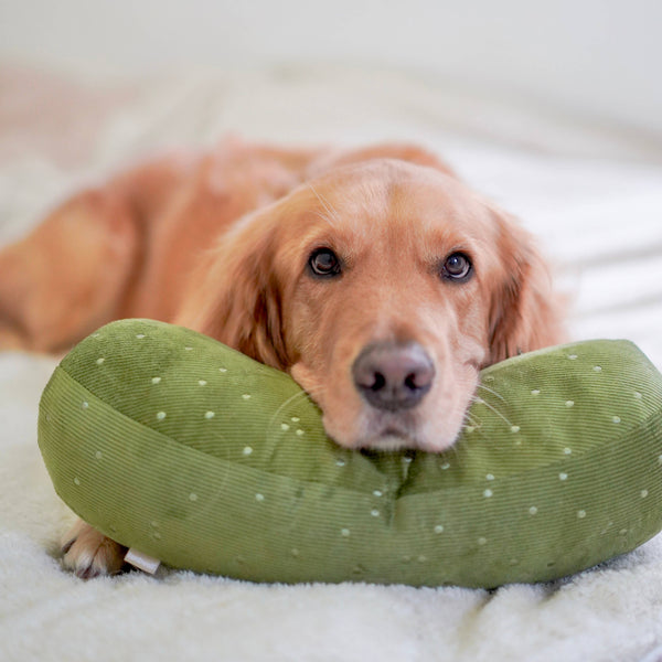 Lambwolf Collective - Enrichment Cuddle Dog Toy - Giant Pickle