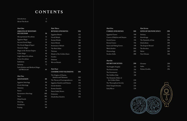Compendium of the Occult: Arcane Artifacts, Magic Rituals, and Sacred Symbolism by Liz Williams