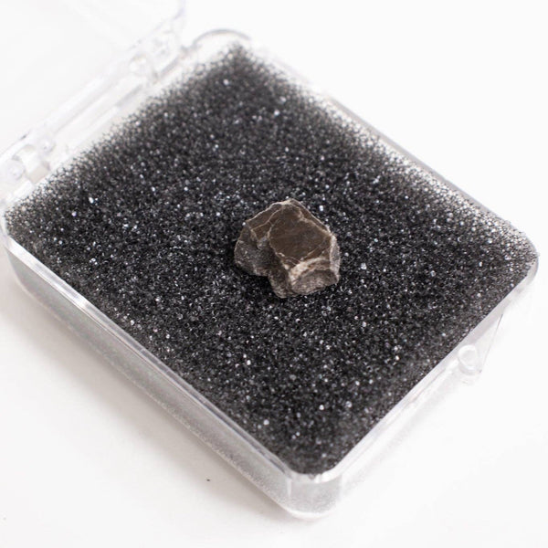 Suevite Fragment